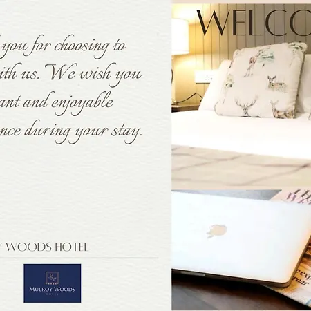 Mulroy Woods מילפורד