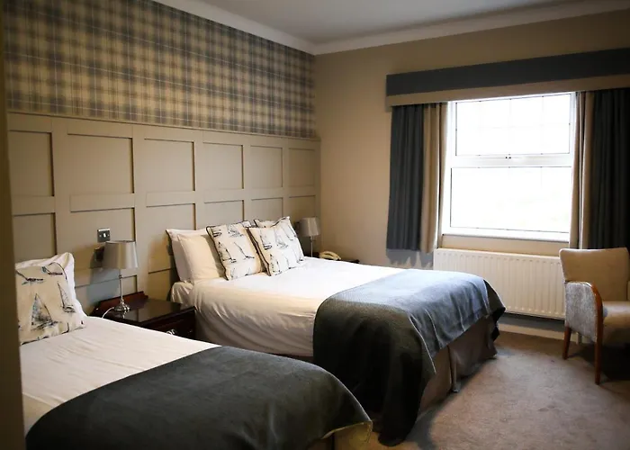 Hotel Mulroy Woods 4*